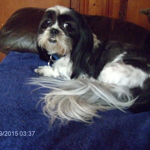 Meet your Posher, Cheryl